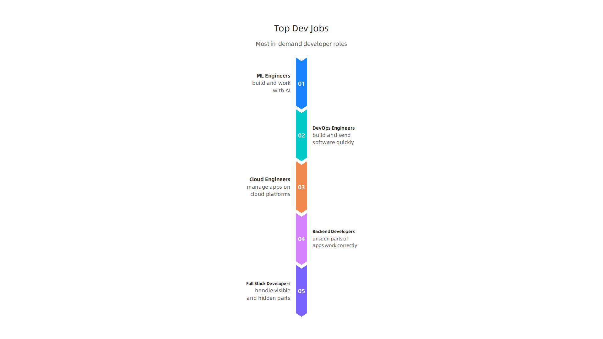 An overview of the most sought-after developer roles in the current job market.