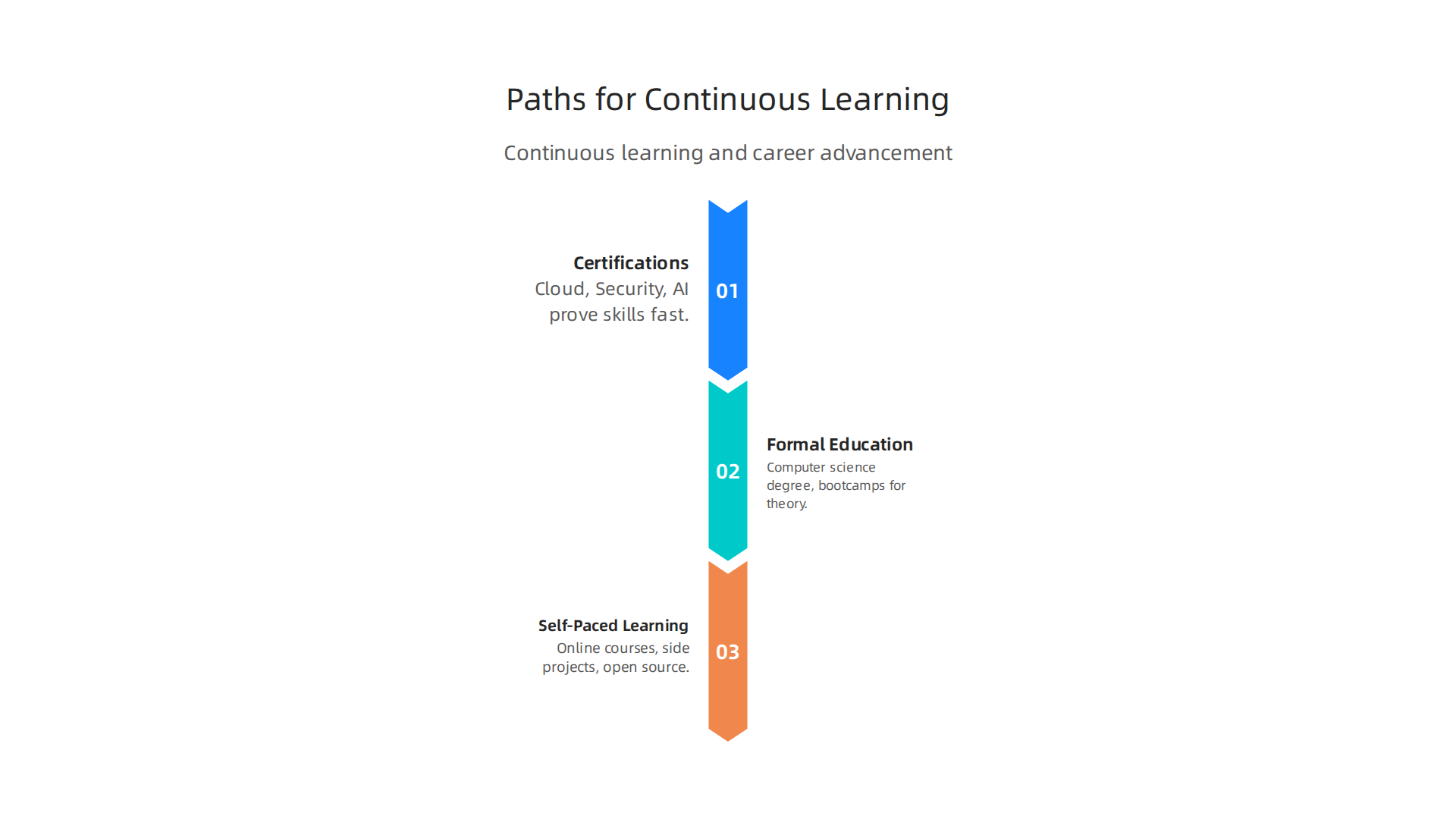 An infographic outlining various avenues for continuous learning and career advancement in software engineering.