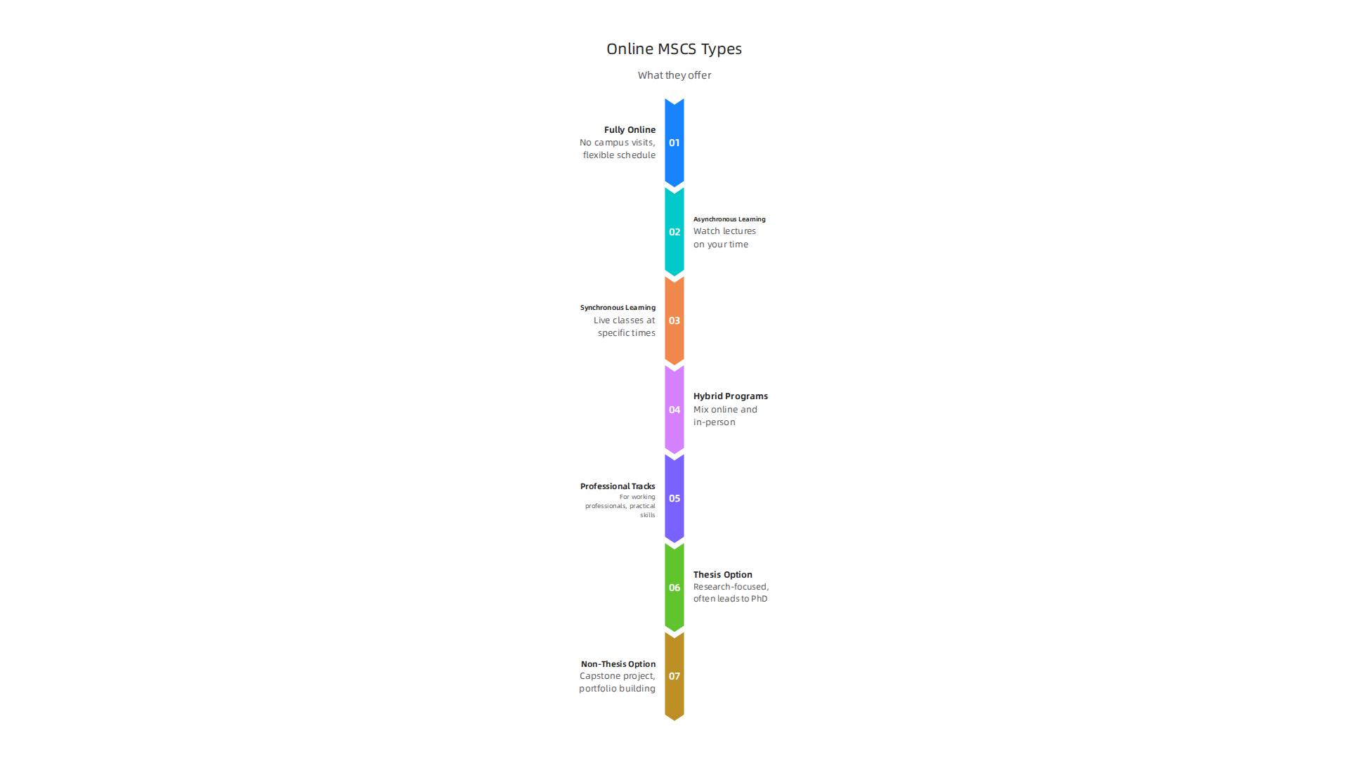 An infographic illustrating the main types of online MS in Computer Science programs and their common structures.